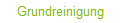 Grundreinigung