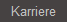 Karriere